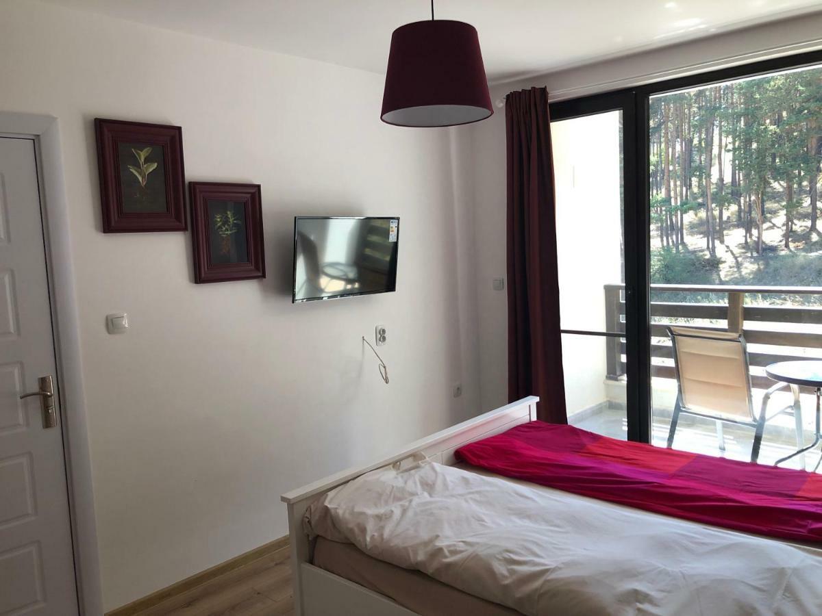 Borov Park 3 Apartment Velingrad Exterior foto