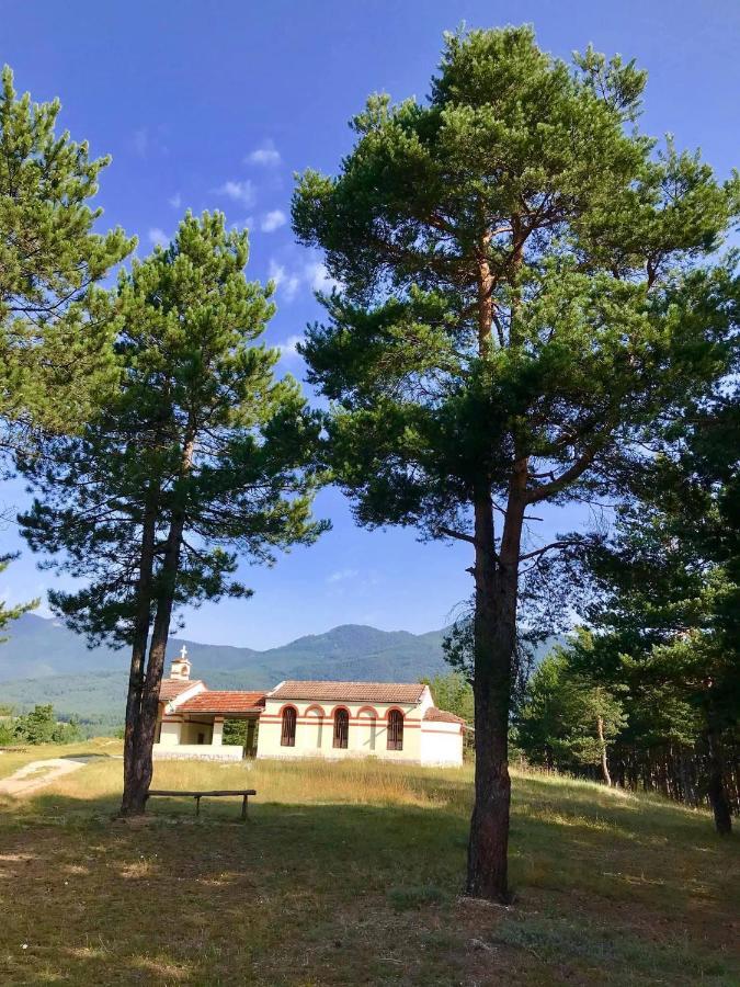 Borov Park 3 Apartment Velingrad Exterior foto